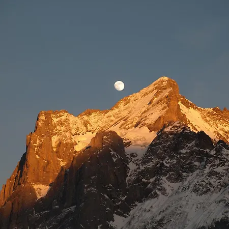 Bel-air Eden Grindelwald