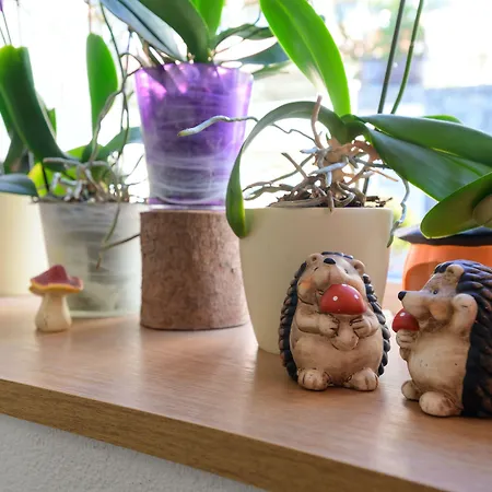 Bel-air Eden Estalagem 2*