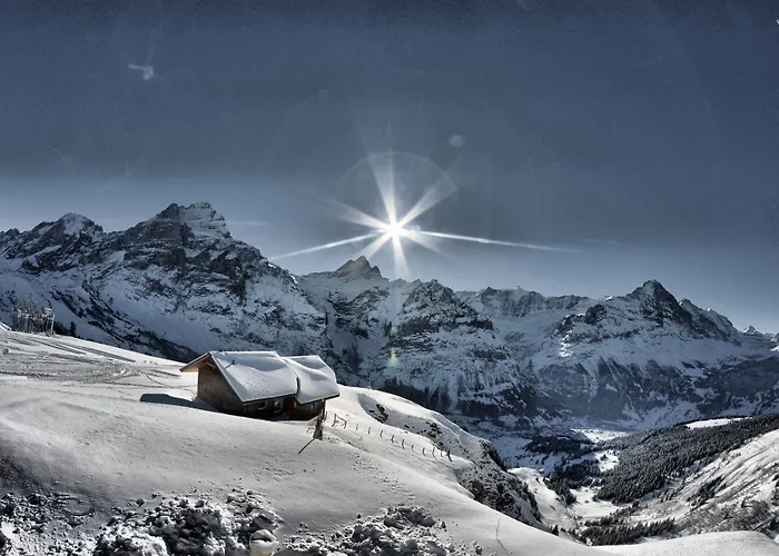 Bel-air Eden イン 2*