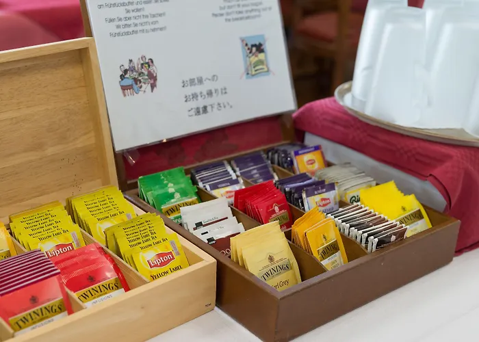 Bel-air Eden Inn Grindelwald