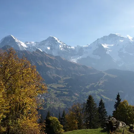 宾馆 Bel-air Eden 2*