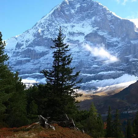 宾馆 Bel-air Eden 2*