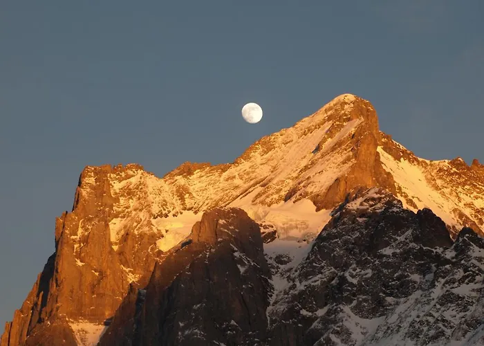 Bel-air Eden Grindelwald