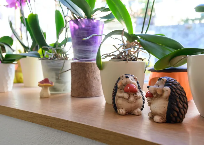 Bel-air Eden Mini-hôtel 2*