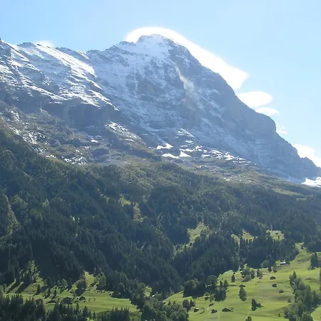 Bel-air Eden Grindelwald